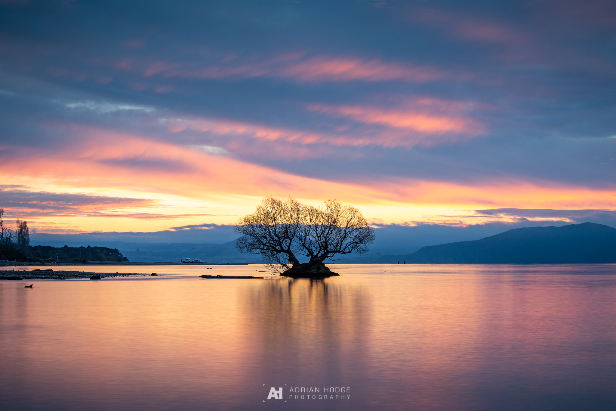 The Taupo Tree Sunset - Adrian Hodge Photography